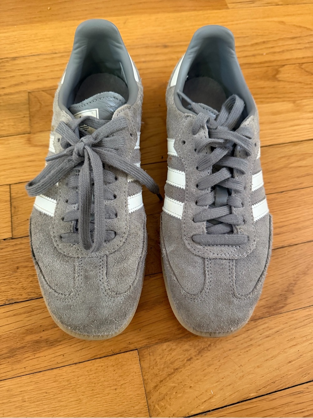 Gray Sambas